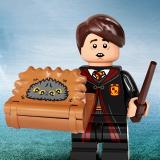 Set LEGO 71028-neville
